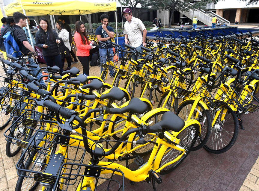 A student rides an ofo bike