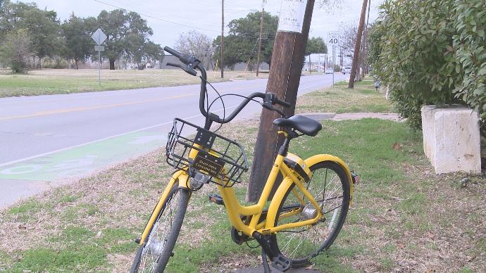 Ofo Bike on Campus